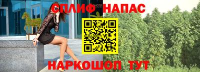 крисы Аша