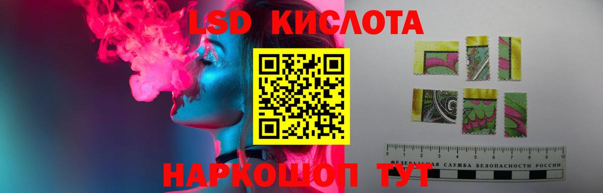 A PVP Белгород