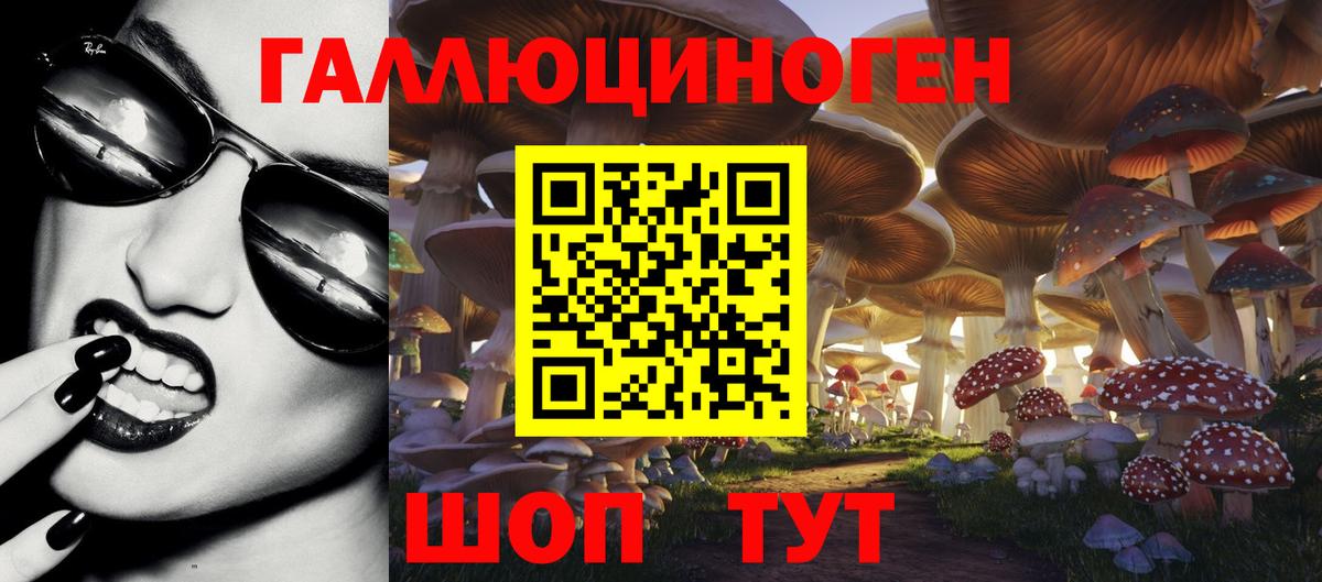 Псилоцибиновые грибы Psilocybine cubensis Белгород